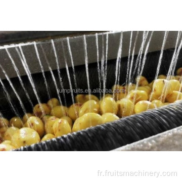 Machines de traitement des pommes de terre complètes